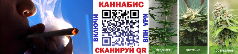 МЕГА как зайти  Северо-Курильск  Канабис гибрид 